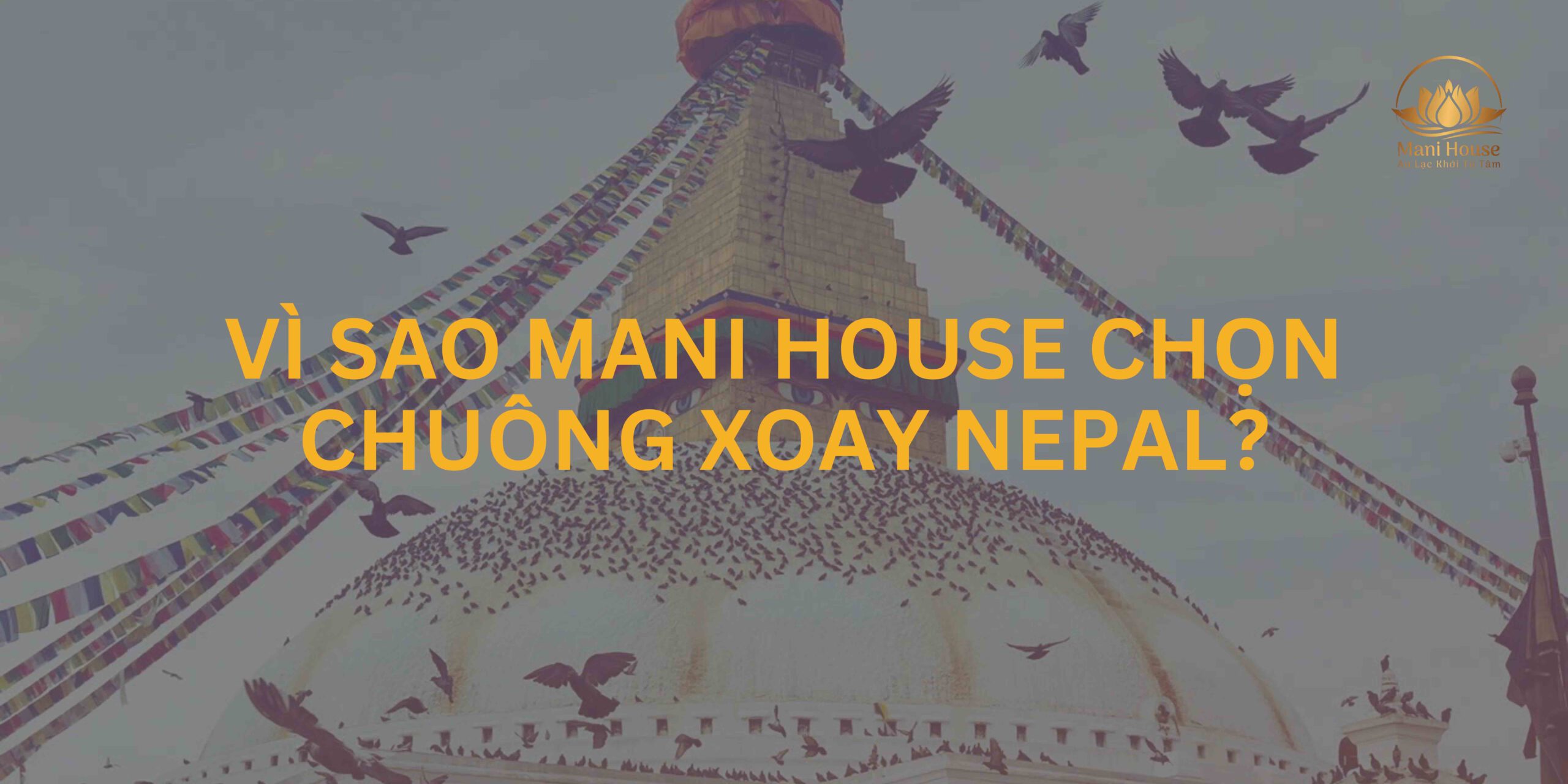 Vì sao chúng mình chọn dùng chuông xoay từ Nepal cho hành trình chữa lành với âm thanh?
