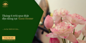 Mani House – An Lạc Khởi Từ Tâm